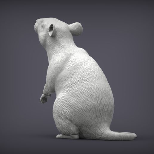 rat3.jpg Rat on hind legs 3D print model