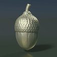 Acorn-0001.png Acorn