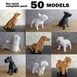 cults-Fotos-Pack-1.jpg PACK LOW POLY DOGS - 50 MODELS - THE MOST COMPLETE - COMMERCIAL LICENSE