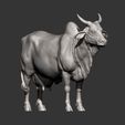 indian-cow12.jpg Indian cow 3D print model
