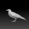crow_lowpoly3.jpg Crow - lowpoly crow for game unity3d- ue6 - bird crow 3d model for 3d print