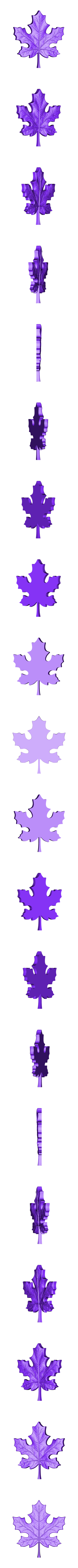 Maple_Leaf.obj Maple Leaf