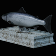 Salmon-statue-box-1-17.png fish sculpture of a Atlantic salmon / salmo salar with storage space / for 3d printing