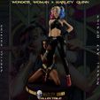 aph-11.jpg Wonder Woman and Harley Quinn - Collectible Rare Model