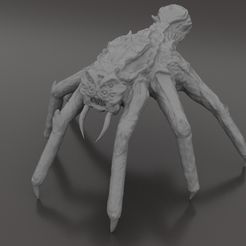spider_002.jpg Archivo STL araña críptica・Plan de impresión en 3D para descargar