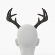 Headshot_Image-0001.jpg Medium Deer Antlers | Tracy