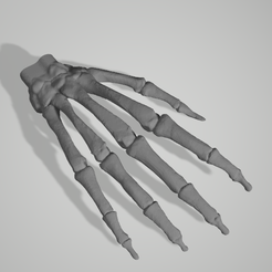 Capture.PNG Бесплатный 3D файл Human Hand Bones Hanger・3D-печатная модель для загрузки