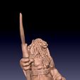 Lion-with-halberd-3.jpg Whole Lion Squad, for DnD, Pathfinder and other RPGs