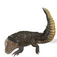 5.jpg Alligator REPTILE MAMMAL WATER SEA RIVER FISH Alligator SEA 3D Alligator