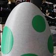 371069105_311470121704682_2667622707494344190_n.jpg Yoshi Egg Nintendo Switch game case