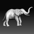 Elephant-2.jpg Elephant 3