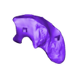 Skull_Part30.stl Allosaurus skull