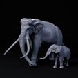 Palaeoxodon_mother_and_calf_5.jpg Palaeoloxodon mother and calf 1-35 scale pre-supported prehistoric elephant