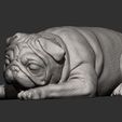 pug-for-3d-printing-3d-model-f1dd9da6fc.jpg pug is sleeping 3D print model