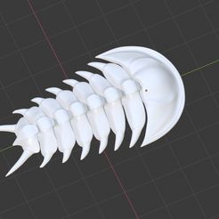 001.jpg Archivo STL gratis Trilobite flexible・Diseño imprimible en 3D para descargar