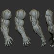 4.jpg 25 Creature arms 3D model ZTL+OBJ+STL