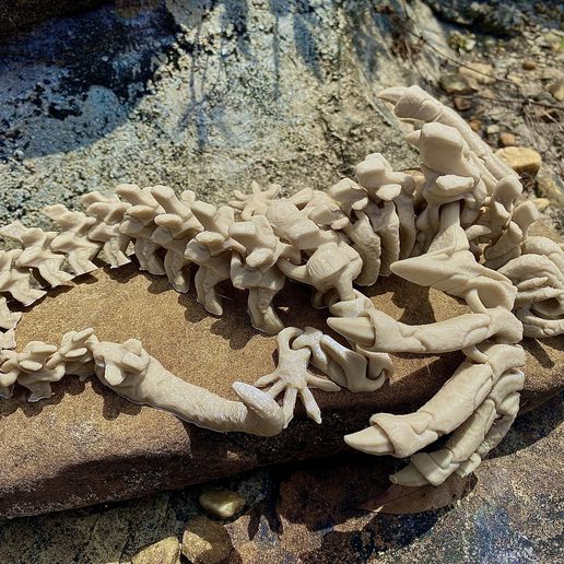 tempImageN7Dcgt.jpg SKELETON WYVERN, FLEXI PRINT IN PLACE MODEL