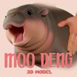 hippo3.jpg Moo Deng