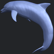 27_TDA0613_Dolphin_03B02.png Dolphin 03