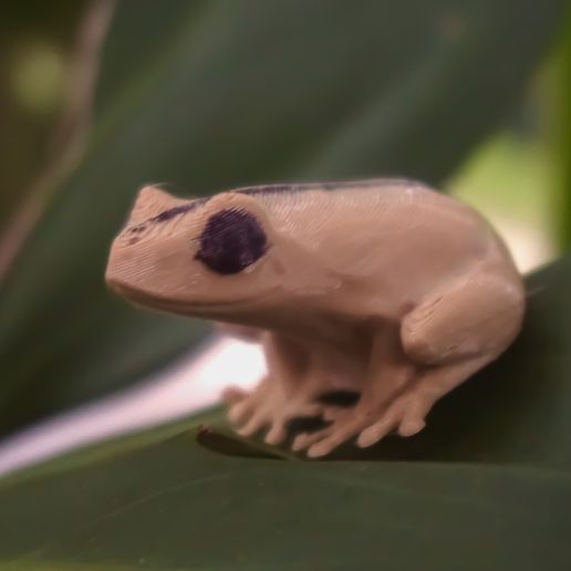 DSC09002.jpg Coquí artificial