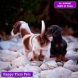 5.jpg Weenie the articulated real looking dachshund sausage dog toy