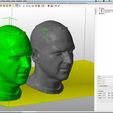 Cory_Doctorow_-_netfabb_Studio_Pro_-_Screenshot_v04.jpg Cory Doctorow's decimated head for 3D printing