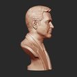 14.jpg George Clooney 3D print model