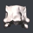 06.jpg Tanystropheus 3D skull
