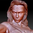 WonderWoman_0032_Layer 1.jpg Wonder Woman Gal Gadot 3d print bust