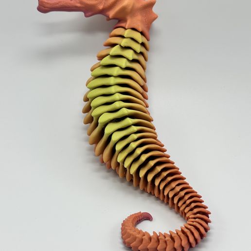 image0.jpeg FLEXI SKELTON SEAHORSE