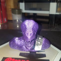 lizard warrior bus.jpg Fichier STL gratuit Buste de guerrier lizar.・Modèle imprimable en 3D à télécharger