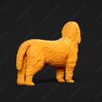 1021-Basset_Griffon_Vendeen_Petit_Pose_02.jpg Basset Griffon Vendeen Petit Dog 3D Print Model Pose 02