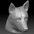 16.jpg German Shepherd head for 3D printing