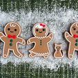 20221127_201819578_iOS.jpg Gingerbread Family and Ornament Set