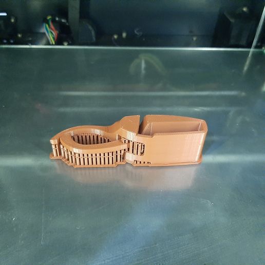 20201104_202316.jpg Beetle clothespin