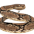 4.png Rattle Snake
