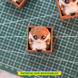 Hamster-Boxedables-Post-Design-06.png Hamster - Boxedables [Original Art]