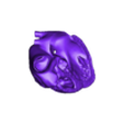 heart - asd - pslaxheart.stl 3D Model of Heart wirh Atrioventricular Septal Defect, 4 chamber view