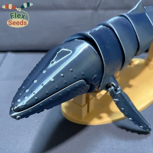 Humpback-Whale-new_v2-10.jpg Знак горбатого кита-Ⅱ (печать на месте)