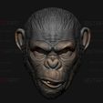 08.jpg King Monkey Mask - Kingdom of The Planet of The Apes
