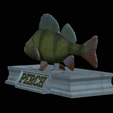 Perch-statue-16.png fish perch / Perca fluviatilis statue detailed texture for 3d printing