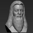 11.jpg Dumbledore from Harry Potter bust 3D printing ready stl obj