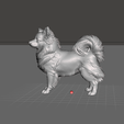 meshmixer_xGsbSDHDMI.png langhaariger Chihuahua