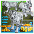 01-1200X1200-RGB-247-WHITE-TIGER.png TIGER TIGER - DOWNLOAD TIGER 3d model - animated for blender-fbx-unity-maya-unreal-c4d-3ds max - 3D printing TIGER TIGER - CAT - FELINE - MONSTER - RAPTOR PREDATOR