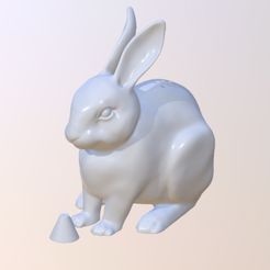 IMG_5978.jpg STL-Datei Kaninchen Salzstreuer kostenlos・3D-Drucker-Modell zum herunterladen
