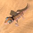 Pachydactylus-Rangei_Boden0007_0000.jpg Namib Gecko -Pachydactylus rangaii-with full size texture + Zbrush Originals-STL 3D Print File-High Polygon