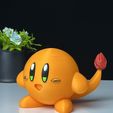 55EEEFC9-5180-4692-9199-C44A80BDB0C3.jpeg Charmander Kirby