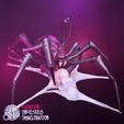 SIE-1.jpg SPIDER IMPLANTING EGGS