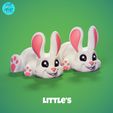 Bunny_R2_002.jpg Flexi Little Bunny