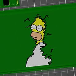 hidden_homer.jpg Bandeja Homer oculta